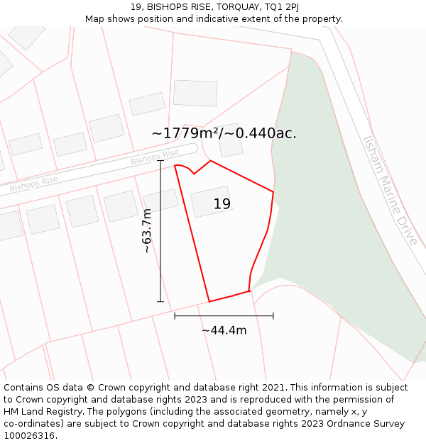 19, BISHOPS RISE, TORQUAY, TQ1 2PJ: Plot and title map