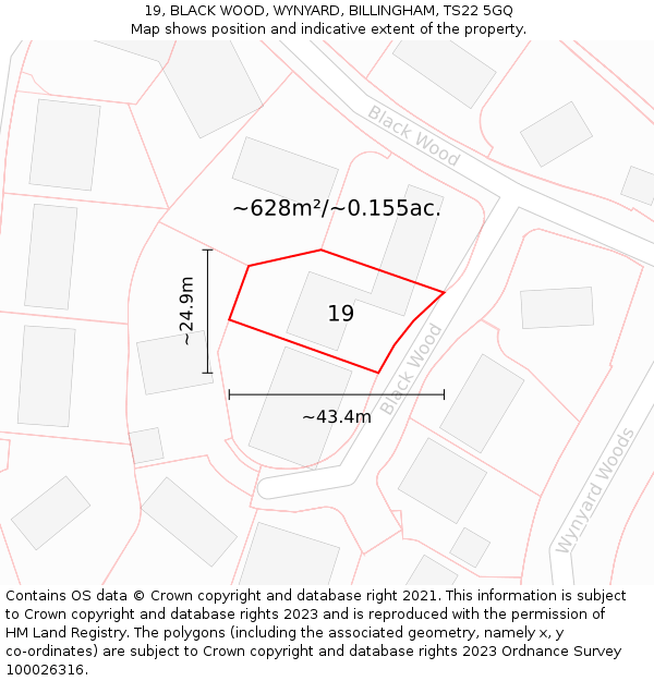 19, BLACK WOOD, WYNYARD, BILLINGHAM, TS22 5GQ: Plot and title map