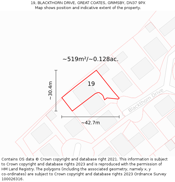 19, BLACKTHORN DRIVE, GREAT COATES, GRIMSBY, DN37 9PX: Plot and title map