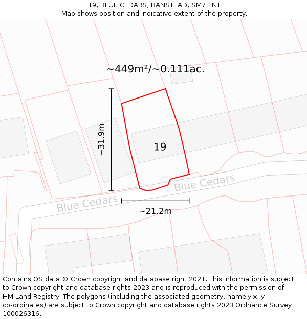 19, BLUE CEDARS, BANSTEAD, SM7 1NT: Plot and title map