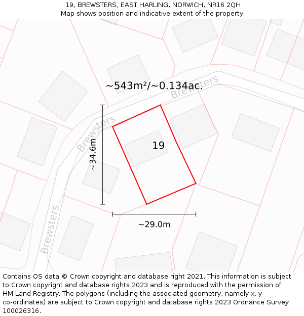 19, BREWSTERS, EAST HARLING, NORWICH, NR16 2QH: Plot and title map