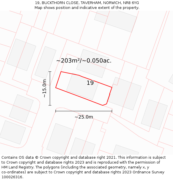 19, BUCKTHORN CLOSE, TAVERHAM, NORWICH, NR8 6YG: Plot and title map