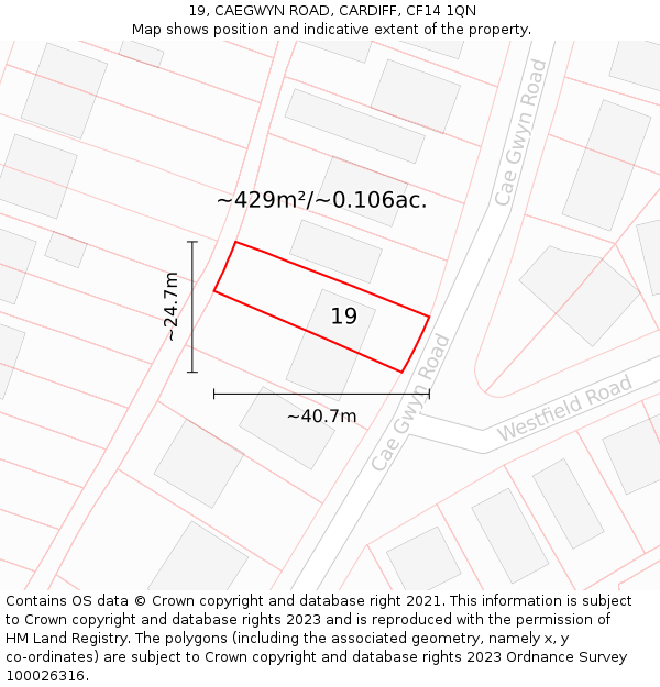 19, CAEGWYN ROAD, CARDIFF, CF14 1QN: Plot and title map