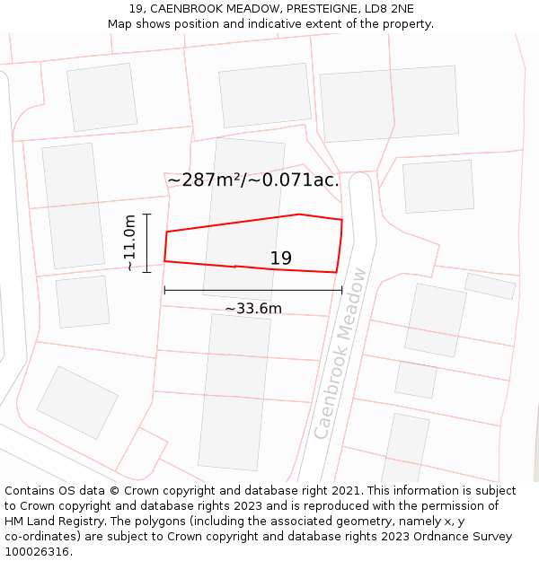 19, CAENBROOK MEADOW, PRESTEIGNE, LD8 2NE: Plot and title map