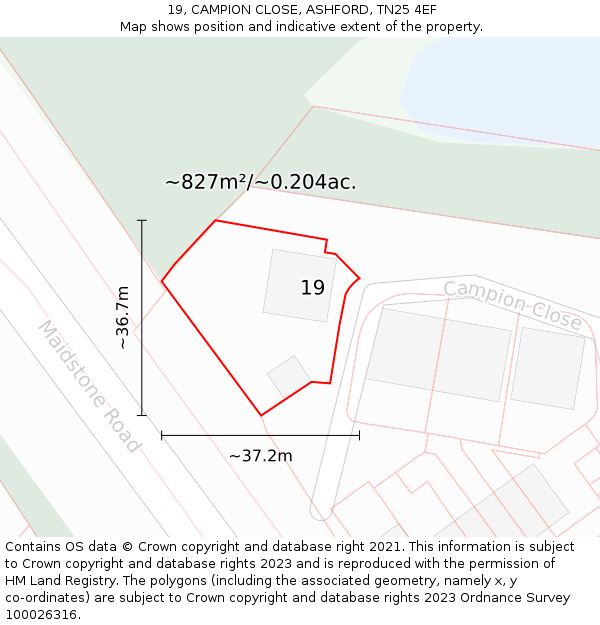 19, CAMPION CLOSE, ASHFORD, TN25 4EF: Plot and title map