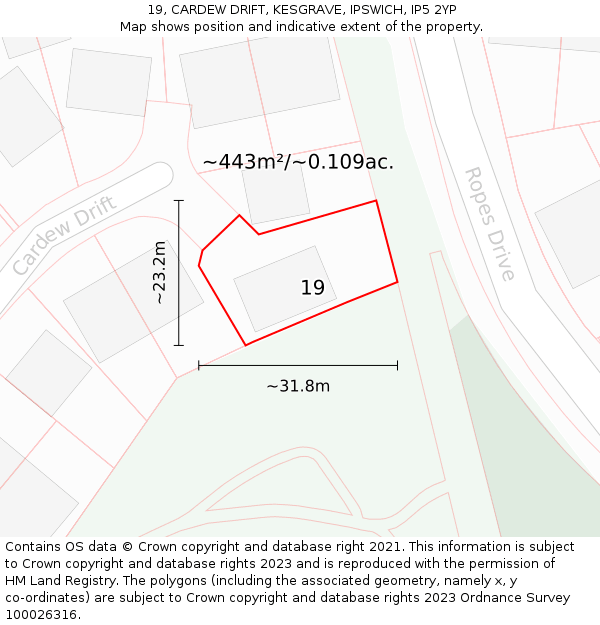 19, CARDEW DRIFT, KESGRAVE, IPSWICH, IP5 2YP: Plot and title map