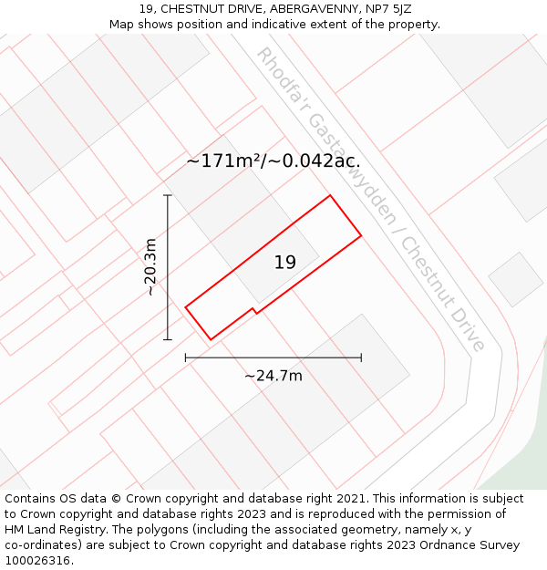 19, CHESTNUT DRIVE, ABERGAVENNY, NP7 5JZ: Plot and title map