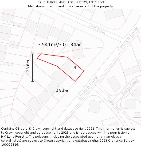 19, CHURCH LANE, ADEL, LEEDS, LS16 8DB: Plot and title map