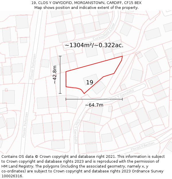 19, CLOS Y GWYDDFID, MORGANSTOWN, CARDIFF, CF15 8EX: Plot and title map