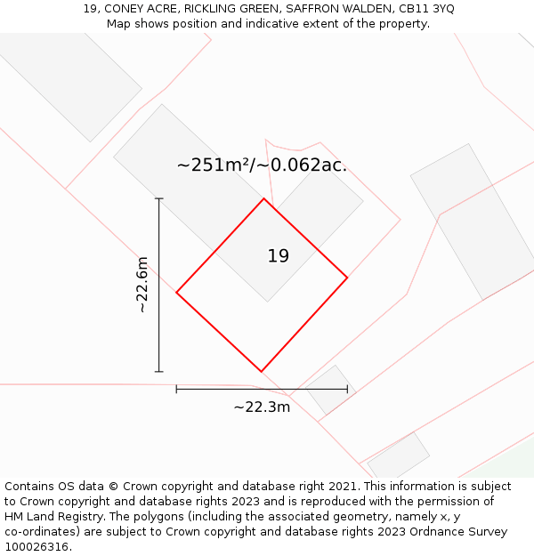 19, CONEY ACRE, RICKLING GREEN, SAFFRON WALDEN, CB11 3YQ: Plot and title map