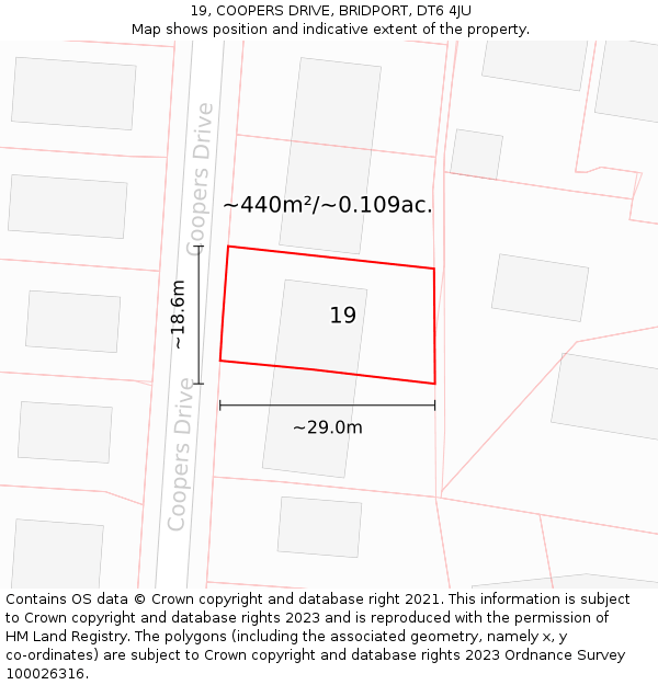 19, COOPERS DRIVE, BRIDPORT, DT6 4JU: Plot and title map