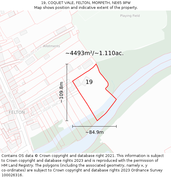 19, COQUET VALE, FELTON, MORPETH, NE65 9PW: Plot and title map