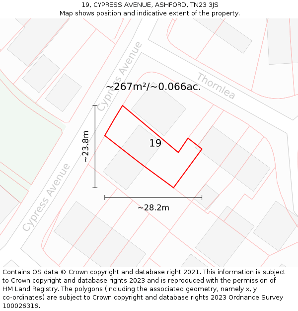 19, CYPRESS AVENUE, ASHFORD, TN23 3JS: Plot and title map