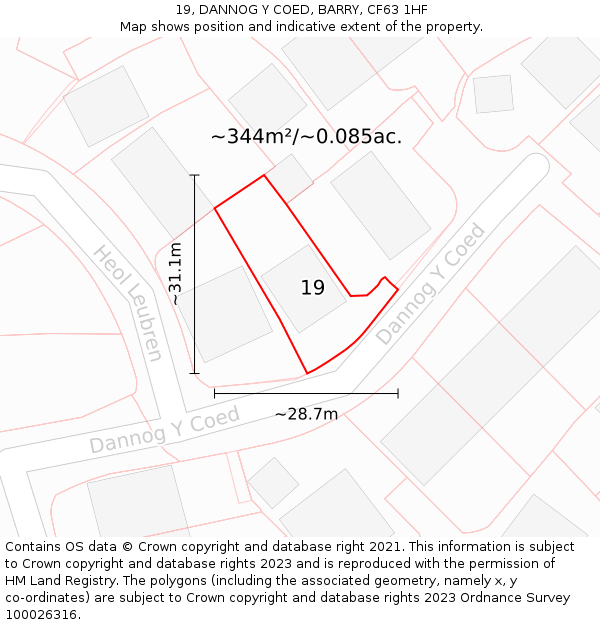 19, DANNOG Y COED, BARRY, CF63 1HF: Plot and title map