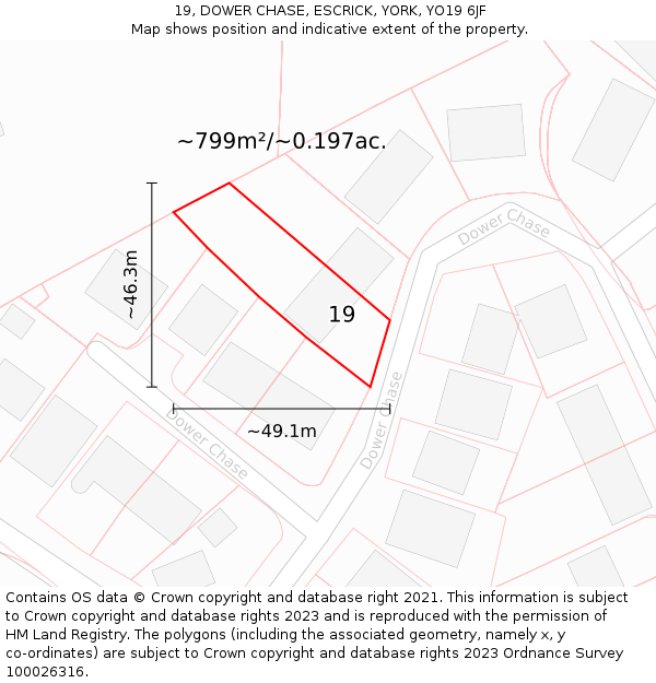 19, DOWER CHASE, ESCRICK, YORK, YO19 6JF: Plot and title map