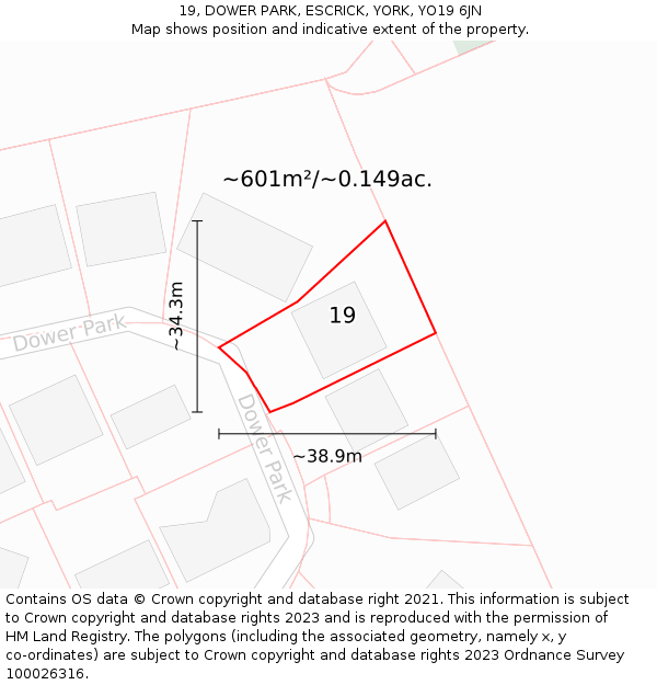 19, DOWER PARK, ESCRICK, YORK, YO19 6JN: Plot and title map