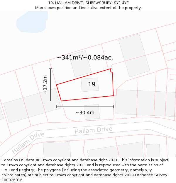 19, HALLAM DRIVE, SHREWSBURY, SY1 4YE: Plot and title map