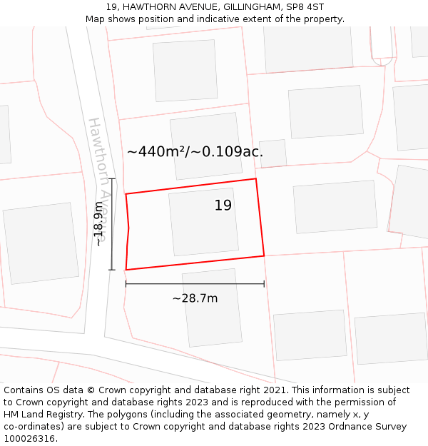 19, HAWTHORN AVENUE, GILLINGHAM, SP8 4ST: Plot and title map