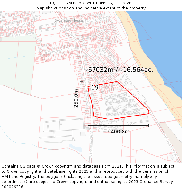 19, HOLLYM ROAD, WITHERNSEA, HU19 2PL: Plot and title map