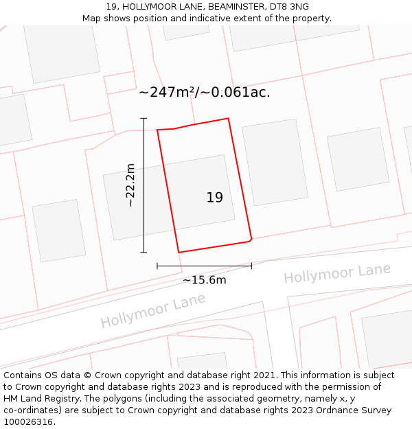 19, HOLLYMOOR LANE, BEAMINSTER, DT8 3NG: Plot and title map