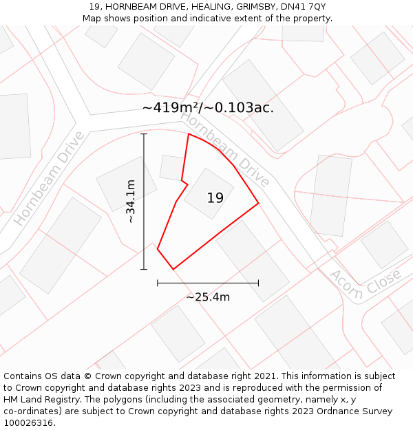 19, HORNBEAM DRIVE, HEALING, GRIMSBY, DN41 7QY: Plot and title map