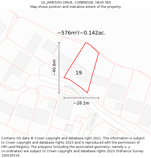 19, JAMESON DRIVE, CORBRIDGE, NE45 5EX: Plot and title map