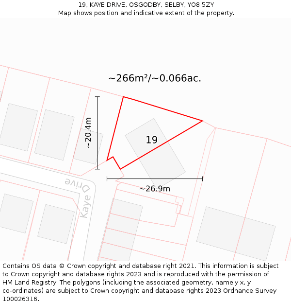 19, KAYE DRIVE, OSGODBY, SELBY, YO8 5ZY: Plot and title map