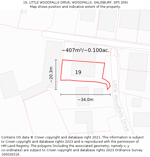 19, LITTLE WOODFALLS DRIVE, WOODFALLS, SALISBURY, SP5 2NN: Plot and title map