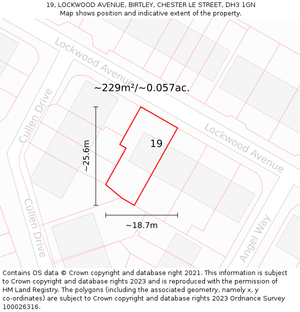 19, LOCKWOOD AVENUE, BIRTLEY, CHESTER LE STREET, DH3 1GN: Plot and title map