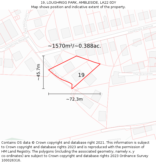 19, LOUGHRIGG PARK, AMBLESIDE, LA22 0DY: Plot and title map