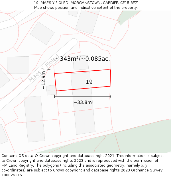 19, MAES Y FIOLED, MORGANSTOWN, CARDIFF, CF15 8EZ: Plot and title map