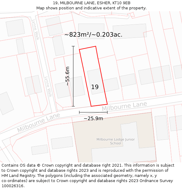 19, MILBOURNE LANE, ESHER, KT10 9EB: Plot and title map