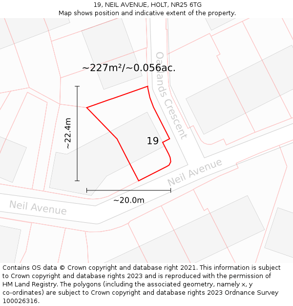 19, NEIL AVENUE, HOLT, NR25 6TG: Plot and title map