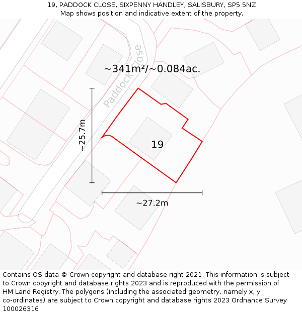19, PADDOCK CLOSE, SIXPENNY HANDLEY, SALISBURY, SP5 5NZ: Plot and title map