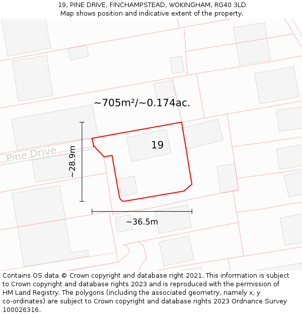 19, PINE DRIVE, FINCHAMPSTEAD, WOKINGHAM, RG40 3LD: Plot and title map