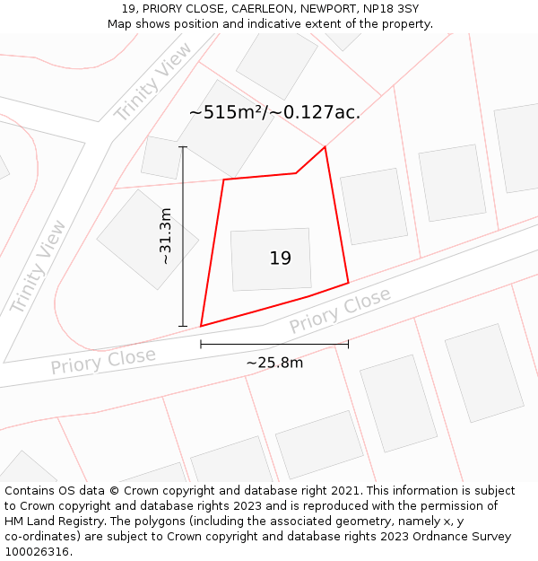 19, PRIORY CLOSE, CAERLEON, NEWPORT, NP18 3SY: Plot and title map
