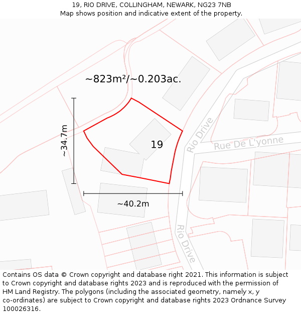 19, RIO DRIVE, COLLINGHAM, NEWARK, NG23 7NB: Plot and title map