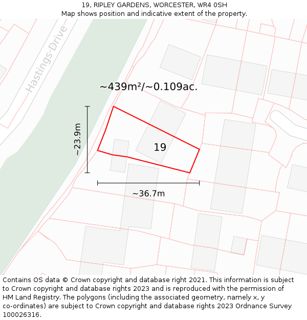 19, RIPLEY GARDENS, WORCESTER, WR4 0SH: Plot and title map