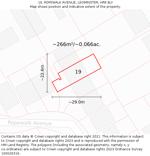 19, ROPEWALK AVENUE, LEOMINSTER, HR6 8LY: Plot and title map