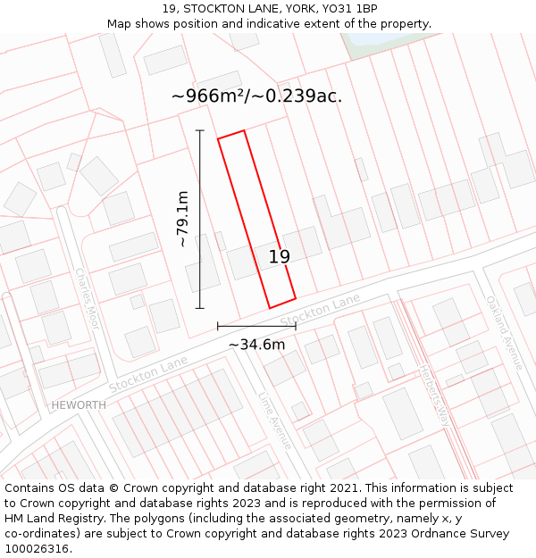 19, STOCKTON LANE, YORK, YO31 1BP: Plot and title map