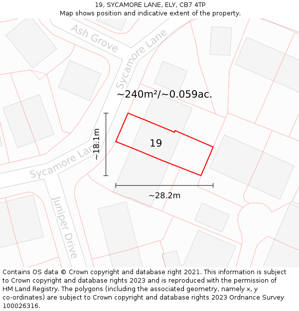 19, SYCAMORE LANE, ELY, CB7 4TP: Plot and title map