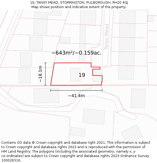 19, TANSY MEAD, STORRINGTON, PULBOROUGH, RH20 4QJ: Plot and title map