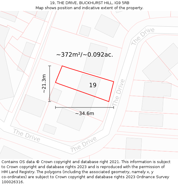 19, THE DRIVE, BUCKHURST HILL, IG9 5RB: Plot and title map