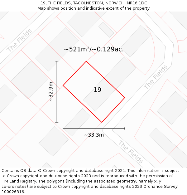 19, THE FIELDS, TACOLNESTON, NORWICH, NR16 1DG: Plot and title map