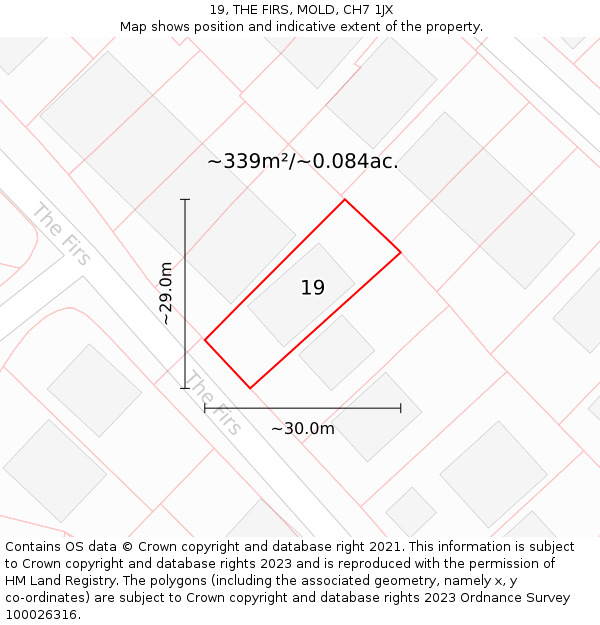 19, THE FIRS, MOLD, CH7 1JX: Plot and title map