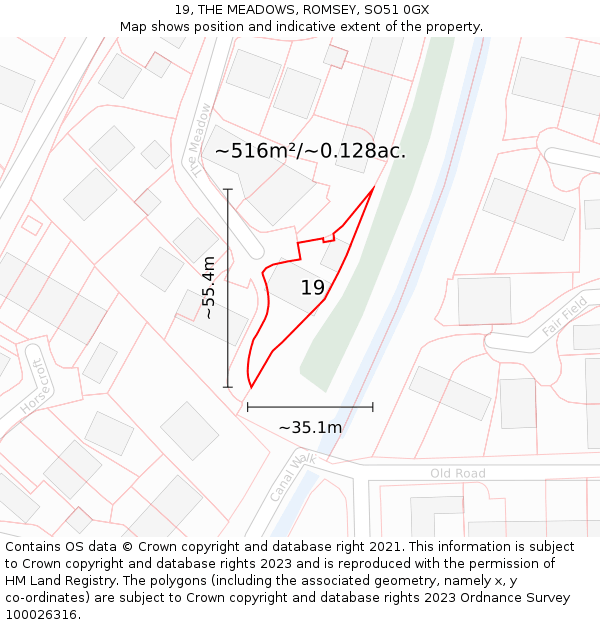 19, THE MEADOWS, ROMSEY, SO51 0GX: Plot and title map