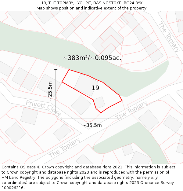 19, THE TOPIARY, LYCHPIT, BASINGSTOKE, RG24 8YX: Plot and title map