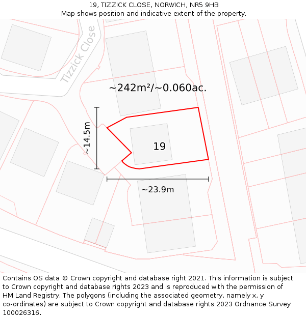 19, TIZZICK CLOSE, NORWICH, NR5 9HB: Plot and title map