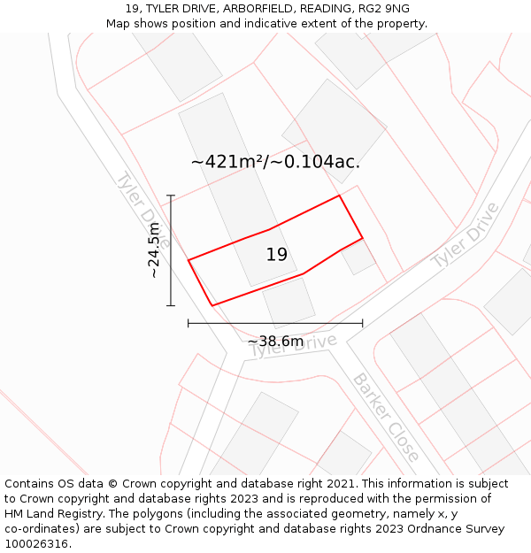 19, TYLER DRIVE, ARBORFIELD, READING, RG2 9NG: Plot and title map