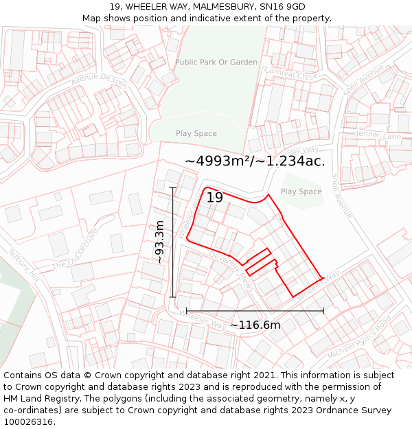 19, WHEELER WAY, MALMESBURY, SN16 9GD: Plot and title map